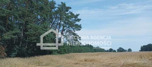 Ziemia rolna Wilkowo Nowowiejskie 3,2ha Kaszuby