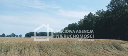 Ziemia rolna Wilkowo Nowowiejskie 3,2ha Kaszuby