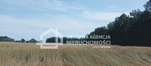 Ziemia rolna Wilkowo Nowowiejskie 3,2ha Kaszuby
