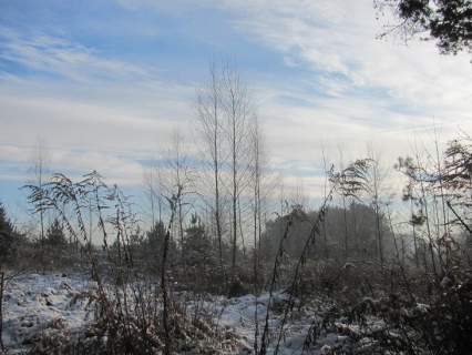 Działka rolna na sprzedaż, 33018 m2, Dąbrowa Górnicza