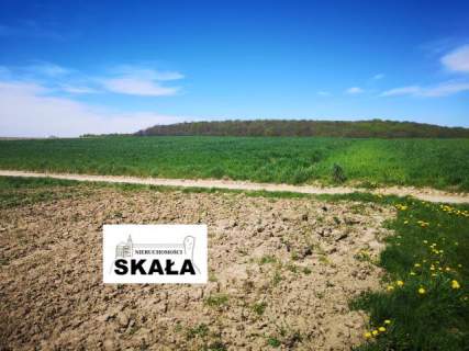 Rzeplin/Skała dz. bud 16 ar.