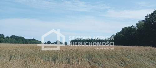 Ziemia rolna Wilkowo Nowowiejskie 3,2ha Kaszuby