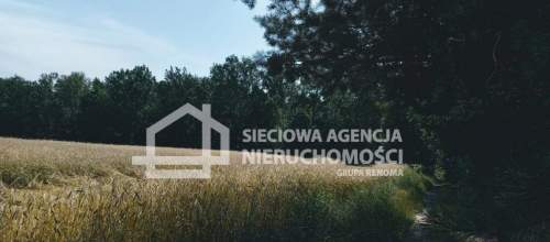 Ziemia rolna Wilkowo Nowowiejskie 3,2ha Kaszuby