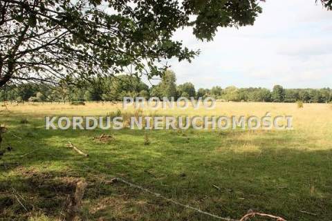 działka 4,5ha Tatynia z możliwością zabudowy