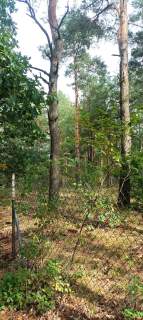 Działka leśna 4000m2 Sulejówek/Długa Szlachecka
