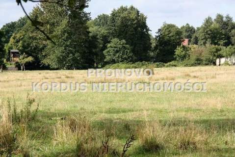 działka 4,5ha Tatynia z możliwością zabudowy