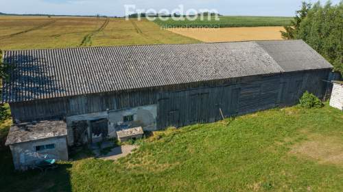 Na sprzedaż siedlisko w Rogożu o pow. 4138 m2