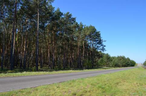 Dom na sprzedaż, 58,35 m2, Gaj
