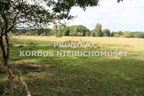 działka 4,5ha Tatynia z możliwością zabudowy