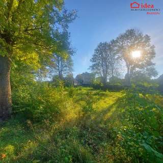 Działka budowlana na sprzedaż, 2200 m2, Górki