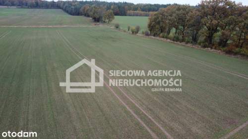 Działka rolna