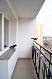 Mieszkanie 3-pokojowe z balkonem Grunwald