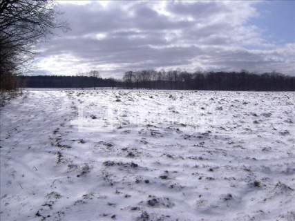 Działka siedliskowa na sprzedaż, 8200 m2, Żarnowska