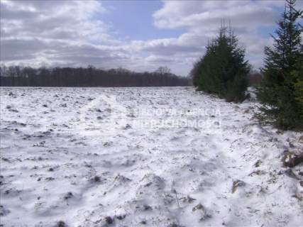 Działka siedliskowa na sprzedaż, 8200 m2, Żarnowska