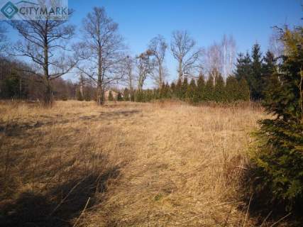 Działka budowlana na sprzedaż, 3200 m2, Sowia Wola