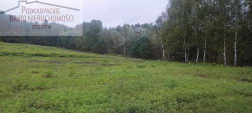 Działka budowlana na sprzedaż, 10000 m2, Gogołów