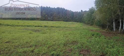 Działka budowlana na sprzedaż, 10000 m2, Gogołów