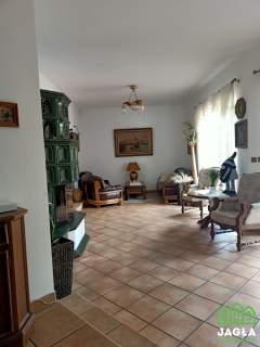 Rezydencja Niemcz 277/13040m2 stawy stajnia MPZP