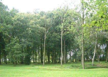 Dom na sprzedaż, 850 m2, Jelitowo