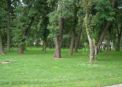 Dom na sprzedaż, 850 m2, Jelitowo