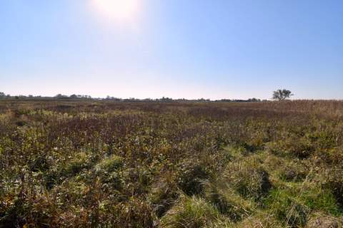 Działki Rolne 1,20 ha Okulice Bessów, Bratucice