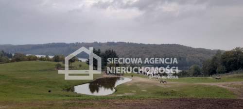 Działka Ostrzyce 1,7ha z dostępem do jeziora