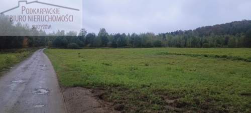 Działka budowlana na sprzedaż, 10000 m2, Gogołów