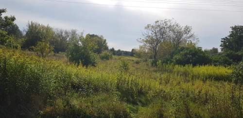 Działka rolna na sprzedaż, 4000 m2, Łomianki