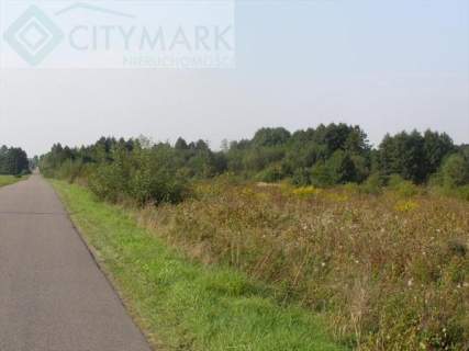 Działka inwestycyjna na sprzedaż, 23000 m2, Radziejowice