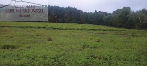 Działka budowlana na sprzedaż, 10000 m2, Gogołów
