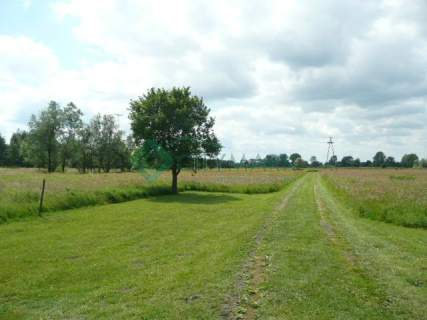 Działka rolna na sprzedaż, 22700 m2, Baranów