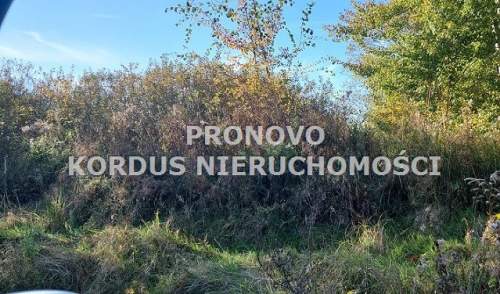 działka inwestycyjna Kijewko