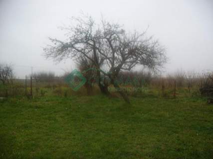 Działka budowlana na sprzedaż, 30000 m2, Kampinos