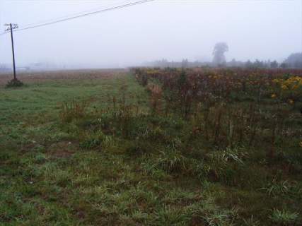 Działka inwestycyjna na sprzedaż, 22000 m2, Nadarzyn