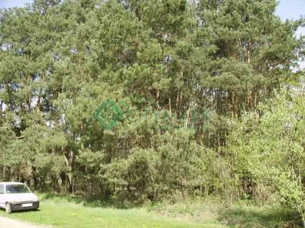Działka leśna na sprzedaż, 7600 m2, Stary Gózd