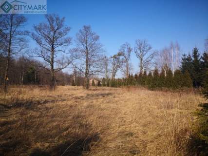 Działka budowlana na sprzedaż, 3200 m2, Sowia Wola