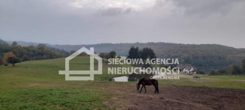 Działka Ostrzyce 1,7ha z dostępem do jeziora