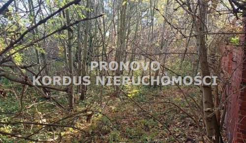 działka z domami do rozbiórki Żelisławiec