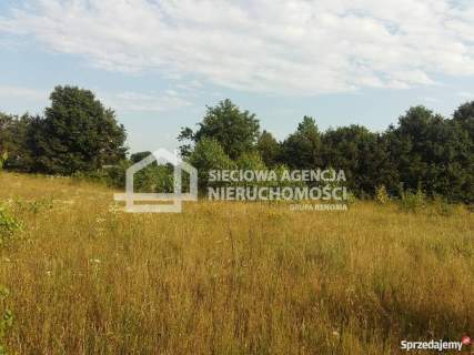 Działka mieszk.-usług. 1500 m2 Nowa Wieś Kartuska