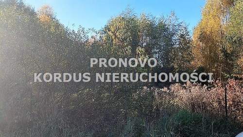 działka inwestycyjna Kijewko