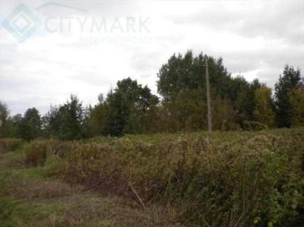 Działka rolna na sprzedaż, 45000 m2, Klaudyn