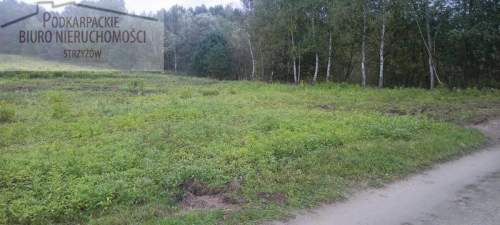 Działka budowlana na sprzedaż, 10000 m2, Gogołów