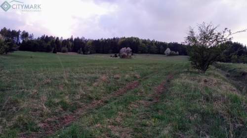 Działka budowlana na sprzedaż, 15000 m2, Krynica-Zdrój