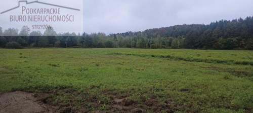 Działka budowlana na sprzedaż, 10000 m2, Gogołów