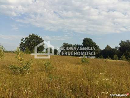 Działka mieszk.-usług. 1500 m2 Nowa Wieś Kartuska