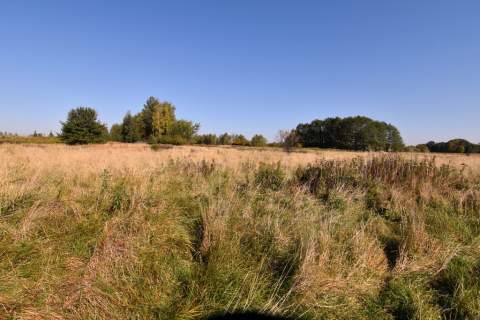 Działki Rolne 1,20 ha Okulice Bessów, Bratucice