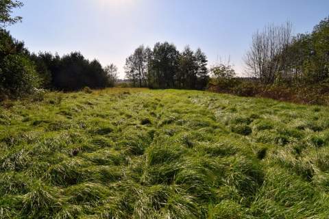 Działki Rolne 1,20 ha Okulice Bessów, Bratucice