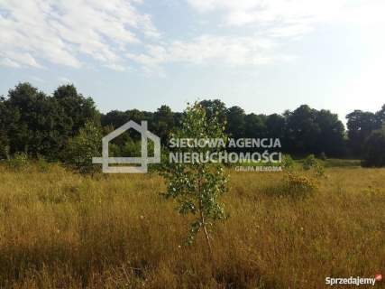 Działka mieszk.-usług. 1500 m2 Nowa Wieś Kartuska