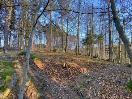2,7ha widokowa przepieknie położona koło Karpacza