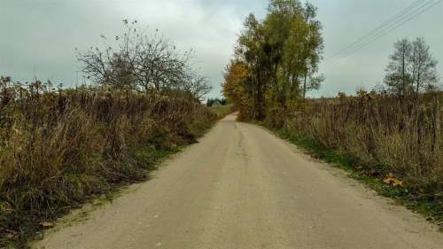 Działka siedliskowa granicząca z lasem państwowym
